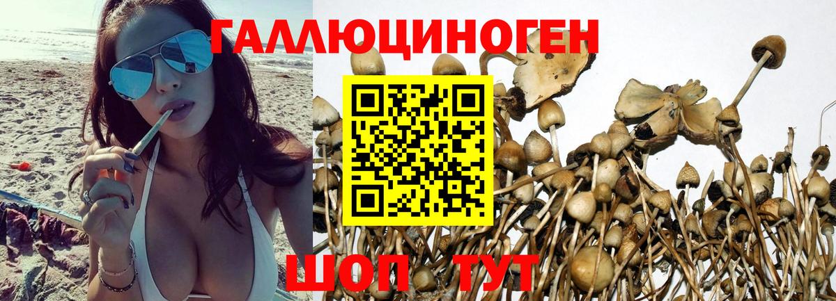 Бошки Шишки Коломна