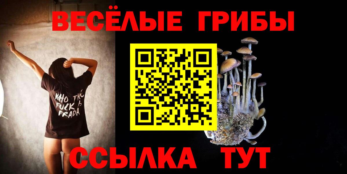 Галлюциногенные грибы Psilocybine cubensis Коломна